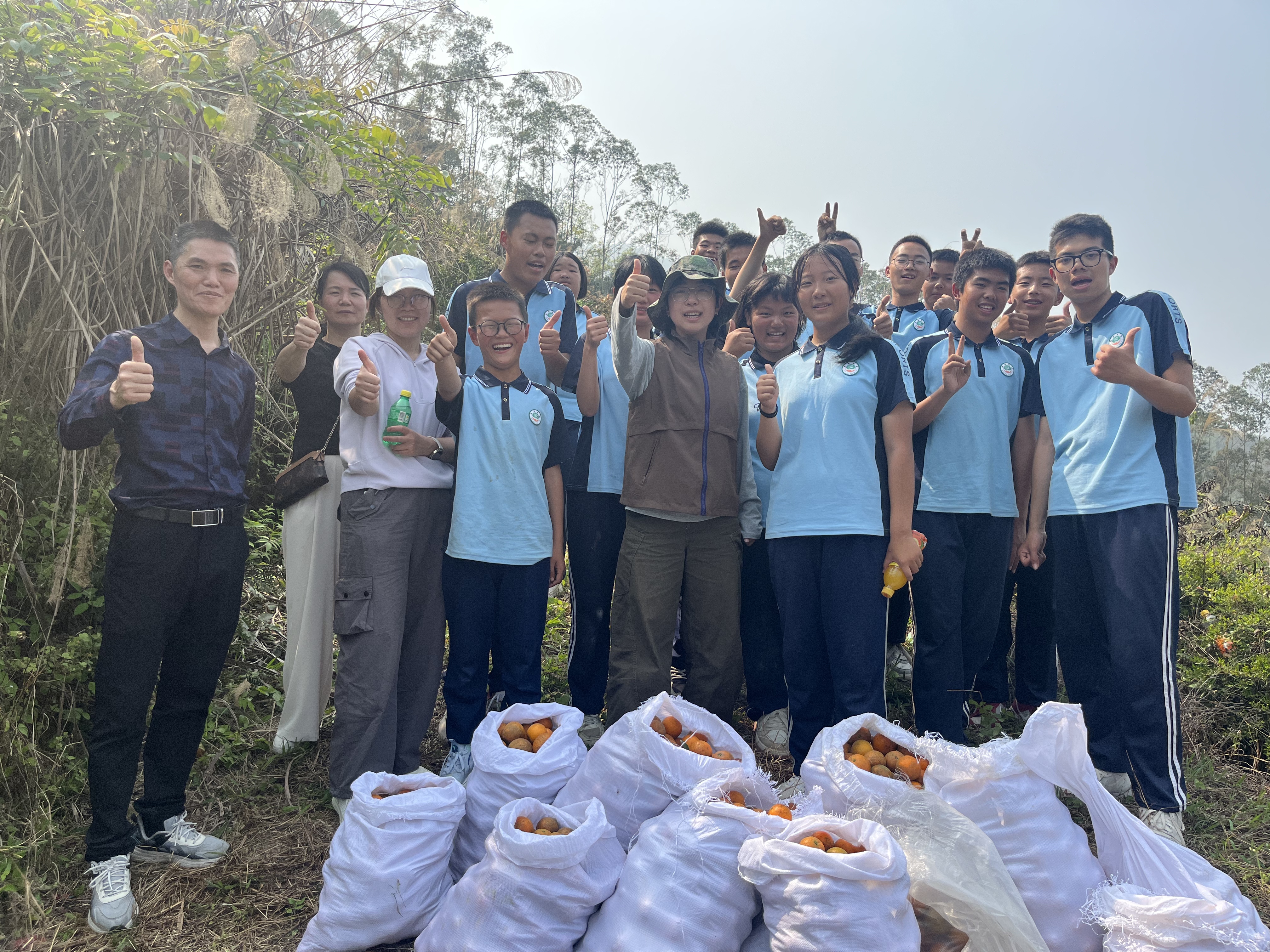 阳光下的教育场景